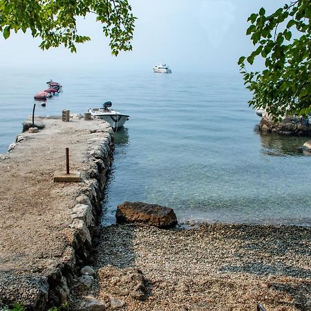 Bay Leaf Apartments Kotor Exterior photo