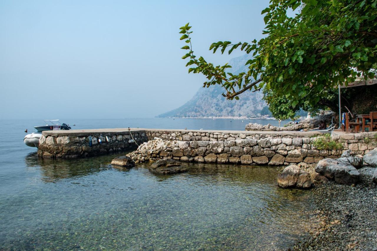 Bay Leaf Apartments Kotor Exterior photo